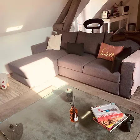 Et Jardin Village Au Bord De L Eau Cour Et Garage Prives * Marcilly-sur-Seine