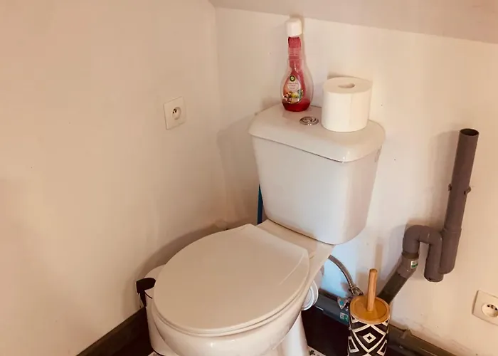 Et Jardin Village Au Bord De L Eau Cour Et Garage Prives Marcilly-sur-Seine